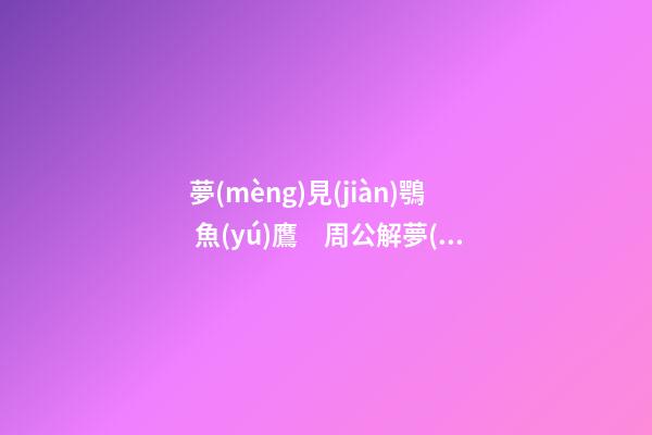 夢(mèng)見(jiàn)鶚 魚(yú)鷹　周公解夢(mèng)之夢(mèng)到鶚 魚(yú)鷹
